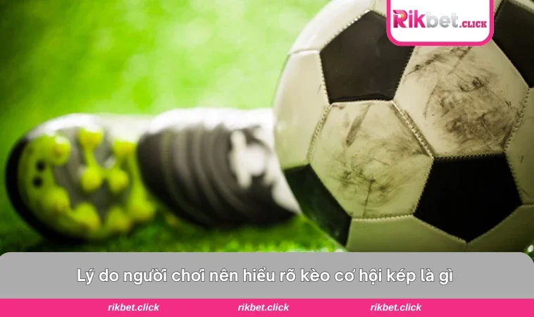 Kèo Cơ Hội Kép Là Gì - Mẹo Cược An Toàn Và Dễ Thắng Nhất 2 Thống kê tỷ lệ thắng giữa kẻ đơn và kèo cơ hội kép qua nhiều trận đấu