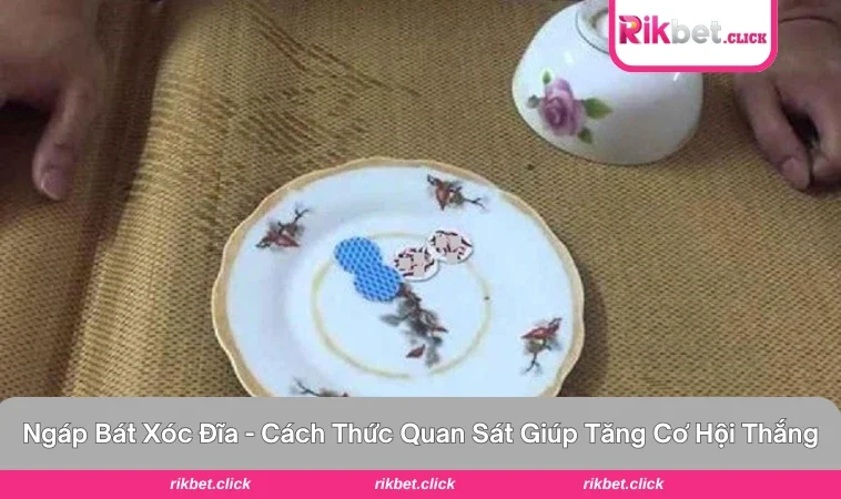 ngáp bát xóc đĩa