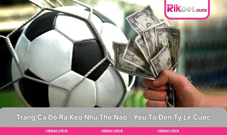 trang cá độ ra kèo như thế nào